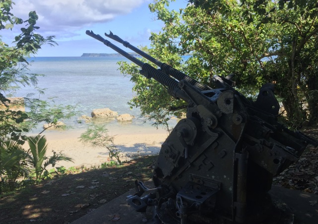 Day 12 - Japanese Anti-Aircraft Gun Guarding Agat Beach