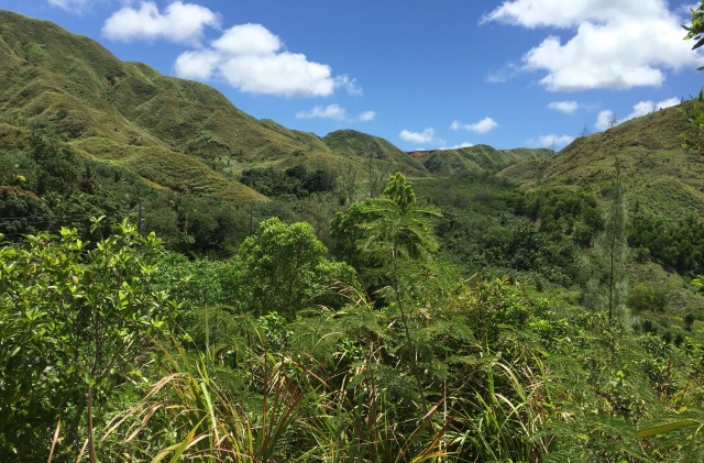 Dat 12 - Rugged Jungle Mountains Above the Ridgeline View of Agat Beach.