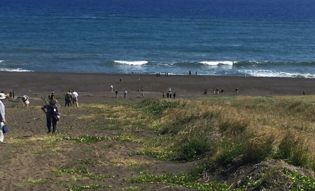 Day 11B - American Tourists Walking Down to the Beach to Collect Their Sample of Black Lava Ash. 